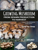 Growing Mushroom From Spawn Production to Harvest: Learn Mushrooms Cultivation Step by Step