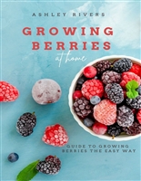 Growing Berries at Home: Guide to growing your own berries the easy way
