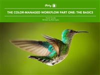 Color plus Management PartOne