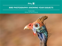 BirdPhotography Knowing