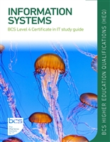 Information Systems