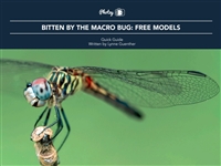 Bitten plus by plus the plus Macro plus Bug Free plus Models