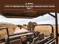 3 plus Tips plus African plus Safari