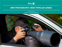Bird plus Photography plus Lenses