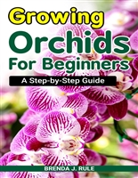 Growing Orchids For Beginners: A Step-by-Step Guide