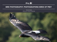 Bird plus Photography BirdsofPrey