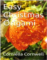 Easy Christmas Origami