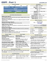 Visio-OSPF.vsd