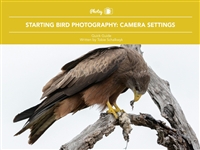 BirdPhotographyCameraSettings