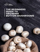 Beginners Guide to Growing Button Mushrooms: Step by Step - Photo process