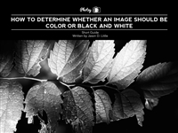 ColorVsBlackAndWhite